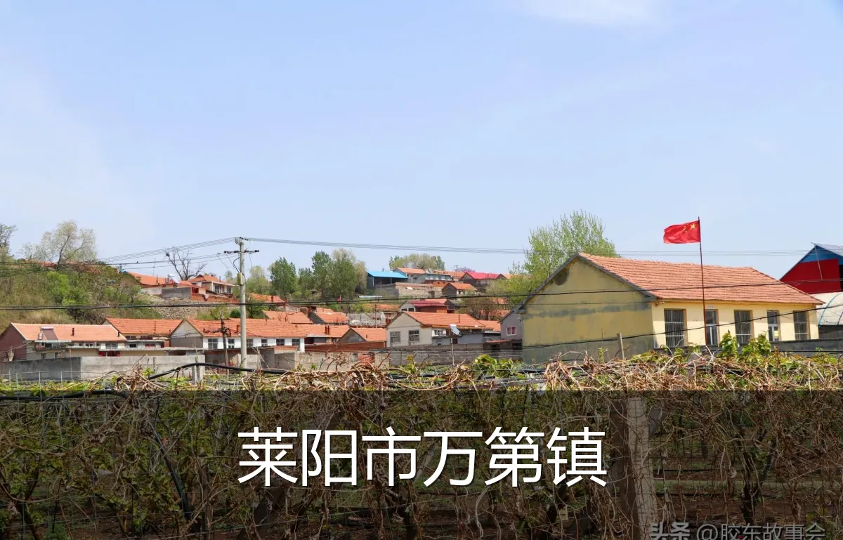 莱阳市万第镇