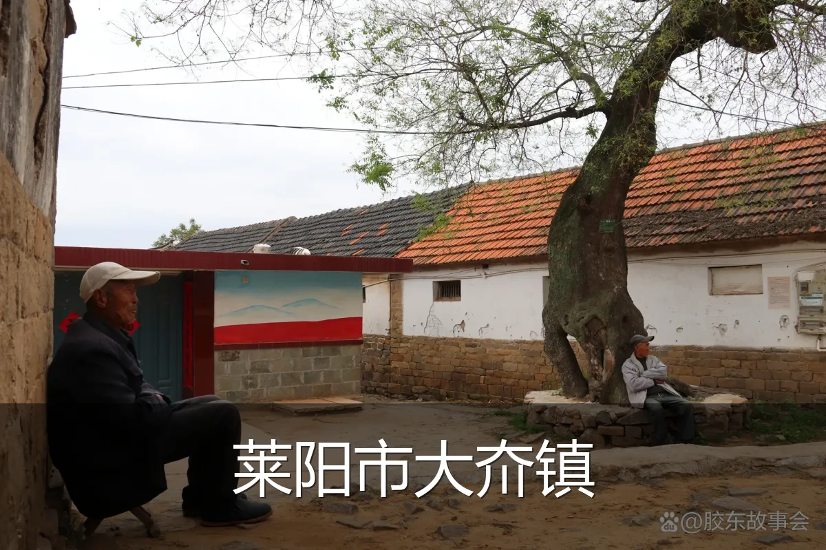 莱阳市大夼镇