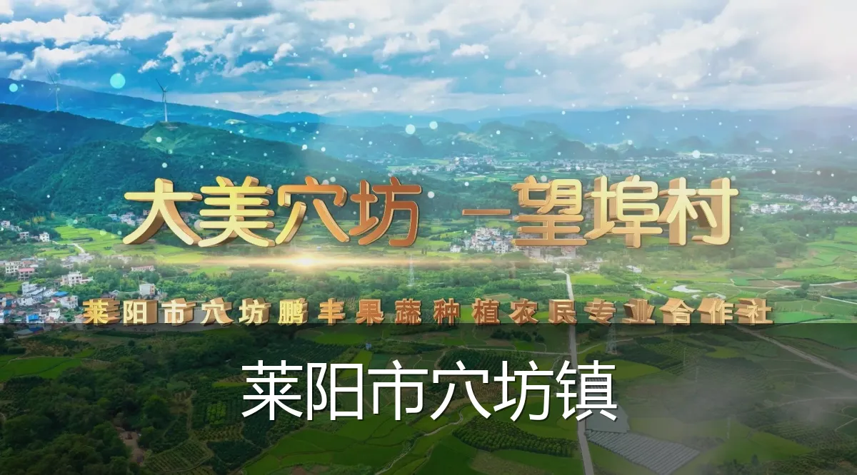 莱阳市穴坊镇